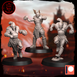 Fantasy Football Team, Amazon 'Field Maidens' by Torchlight