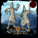 Fantasy Football Team. High Elf 'Silver Shards' by Torchlight